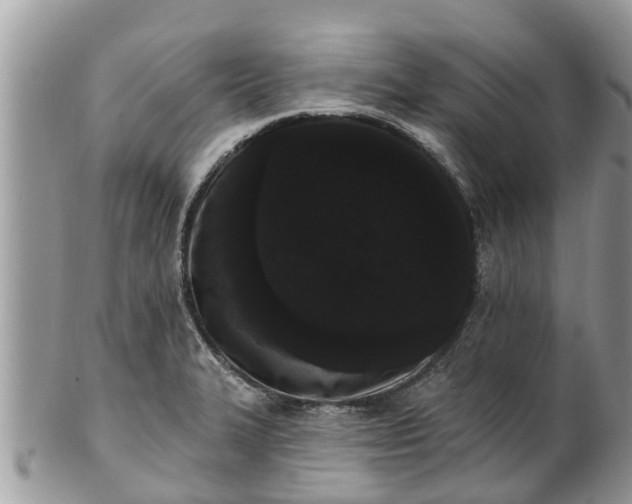 X0000101231327200807071402