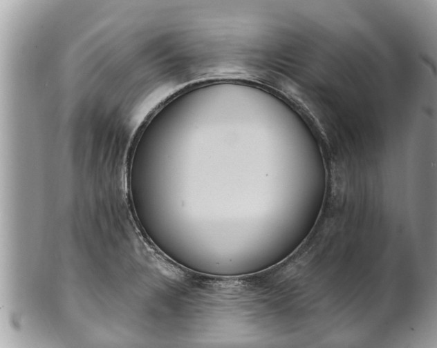 X0000101231328200807071402