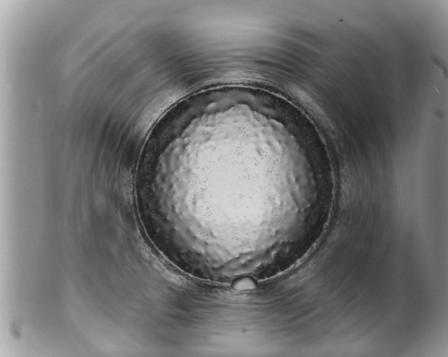 X0000101231329200807071402