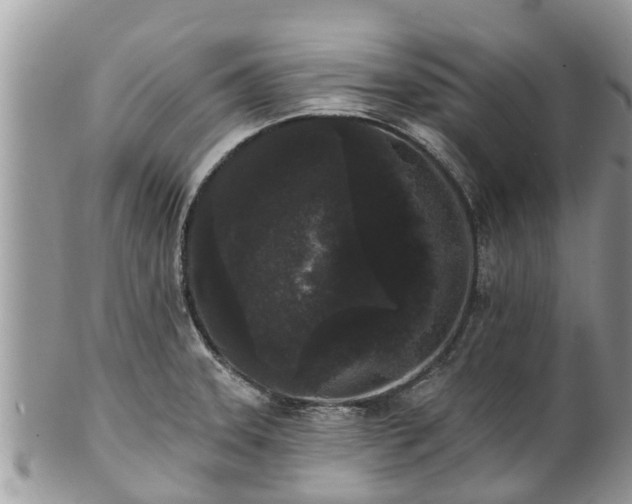 X0000101231331200807071402