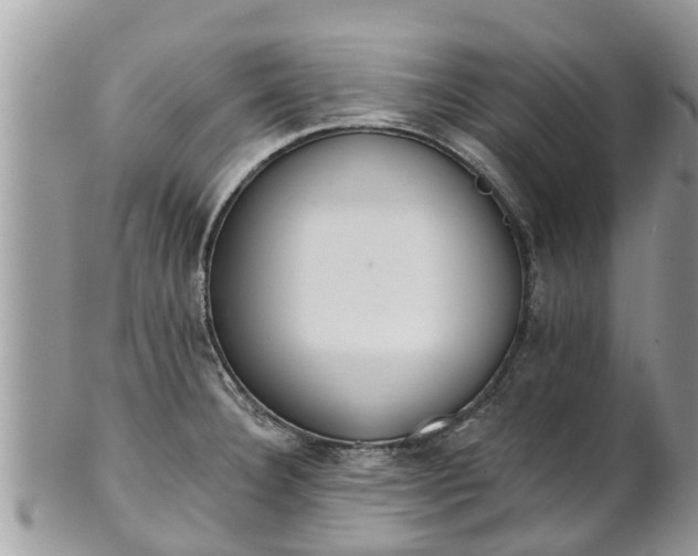 X0000101231332200807071402