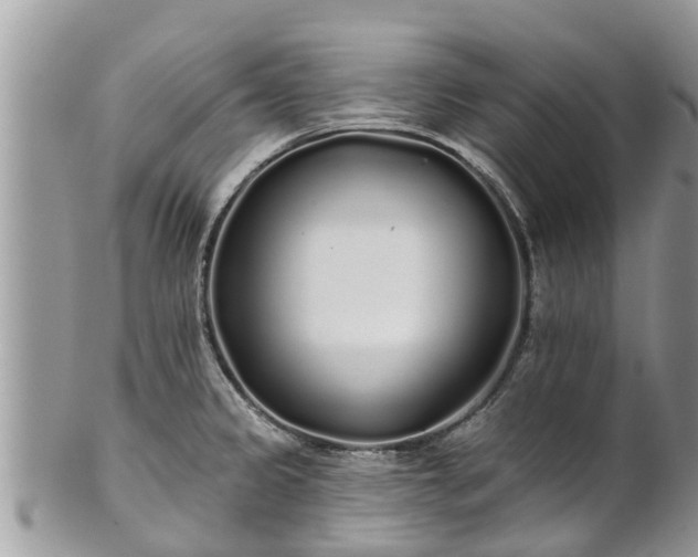 X0000101231333200807071402