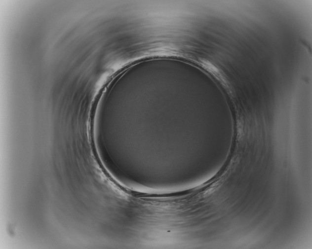 X0000101231334200807071402