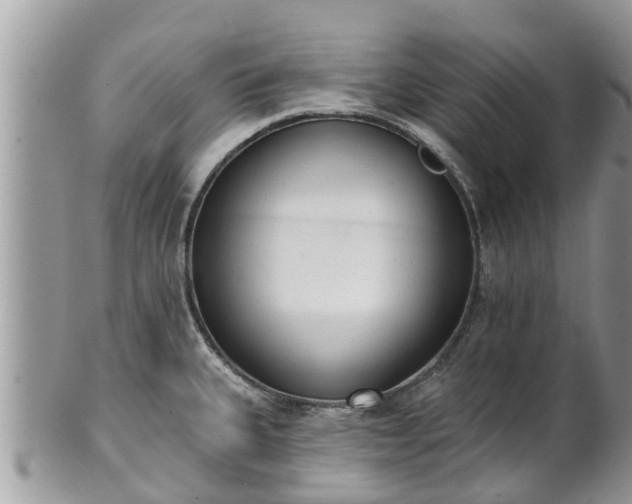 X0000101231335200807071402