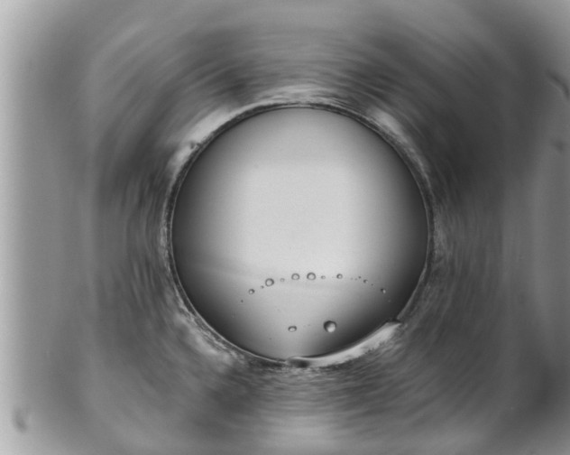 X0000101231336200807071402