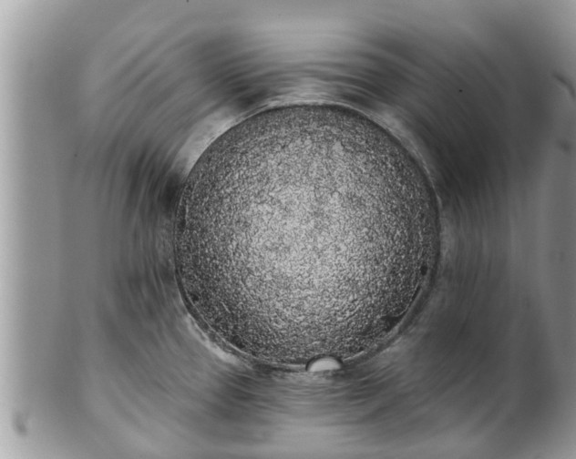X0000101231337200807071402