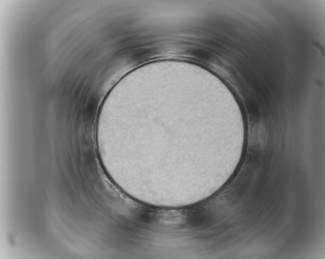 X0000101231338200807071402