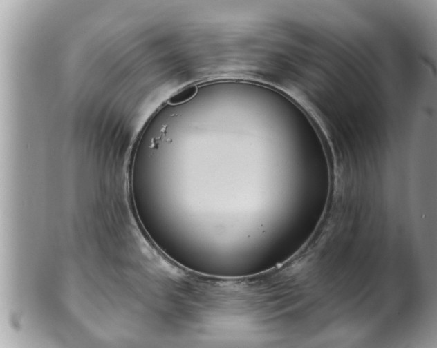 X0000101231341200807071402