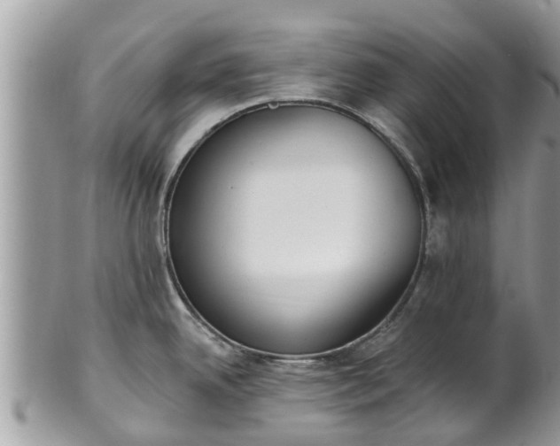 X0000101231342200807071402