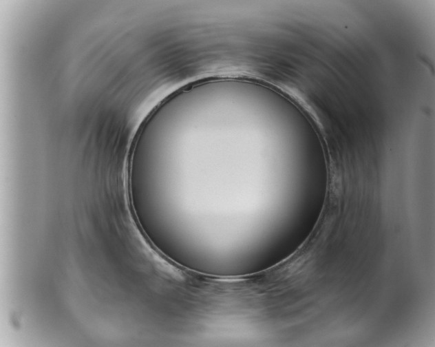 X0000101231343200807071402