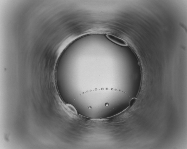 X0000101231344200807071402