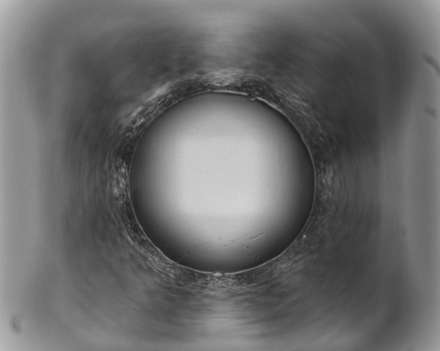 X0000101231349200807071402