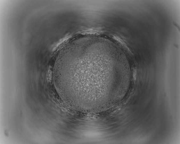 X0000101231350200807071402