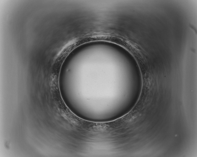X0000101231351200807071402