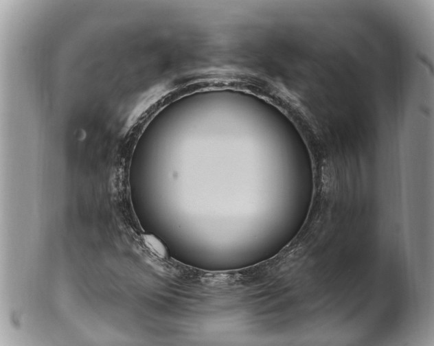 X0000101231352200807071402