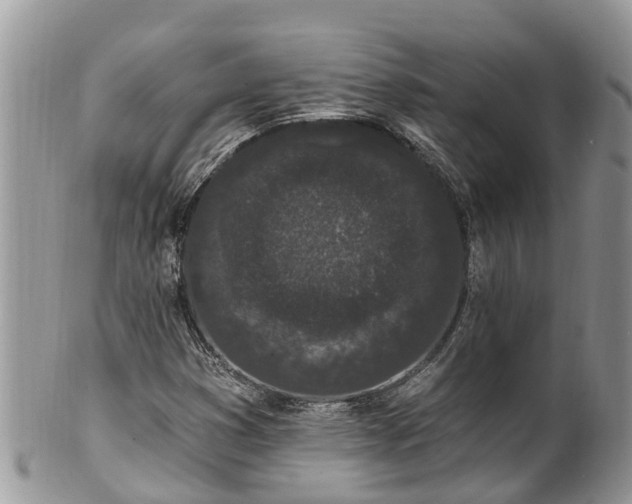X0000101231353200807071402