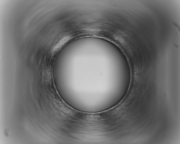X0000101231354200807071402