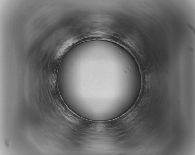 X0000101231355200807071402