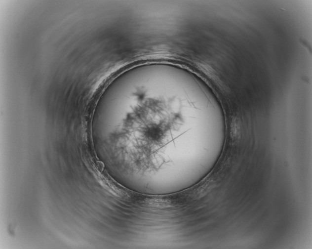 X0000101231356200807071402