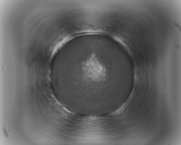 X0000101231357200807071402