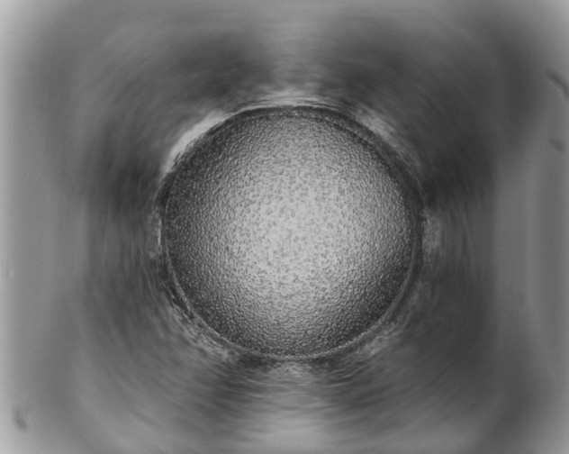 X0000101231358200807071401