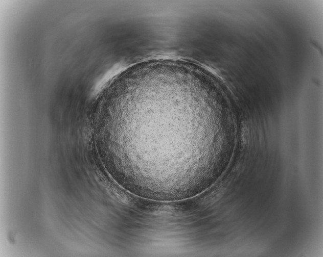 X0000101231359200807071401