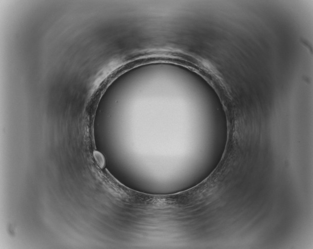X0000101231360200807071401