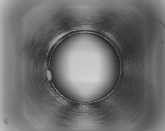 X0000101231364200807071401