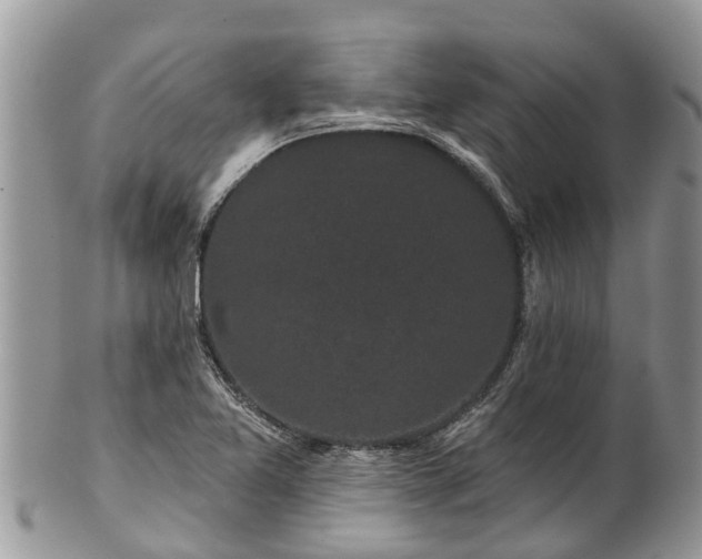 X0000101231365200807071401