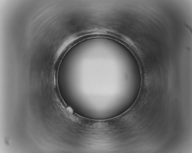 X0000101231368200807071401