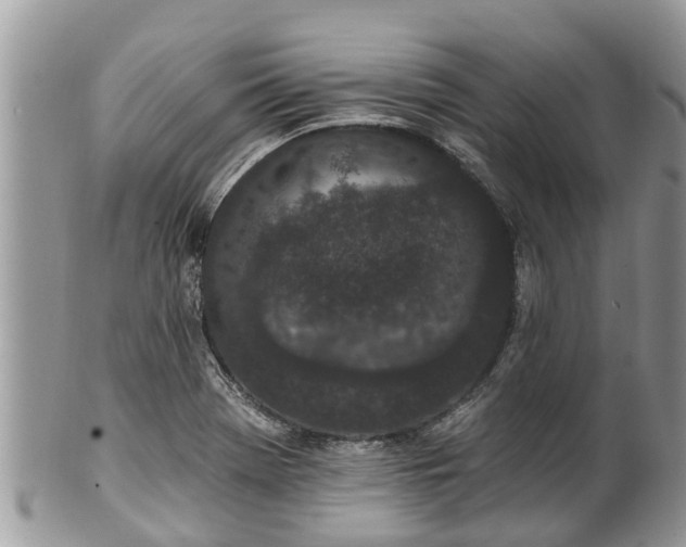 X0000101231369200807071401