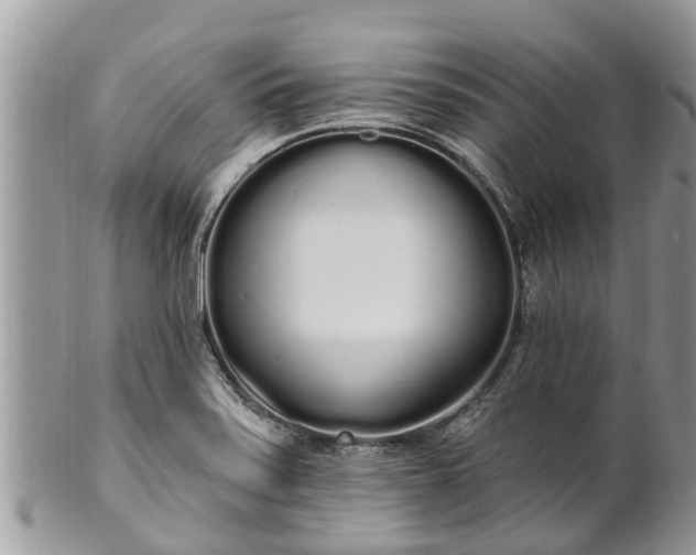 X0000101231371200807071401