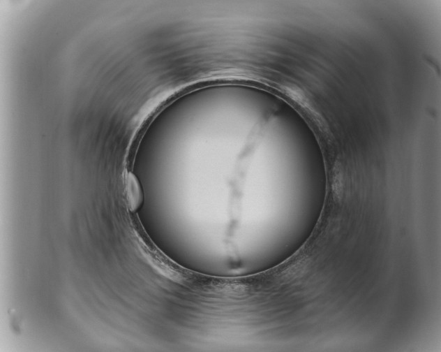 X0000101231372200807071401
