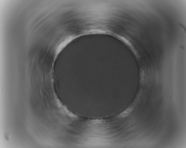 X0000101231373200807071401