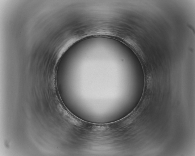 X0000101231374200807071401