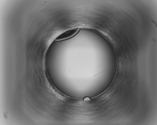 X0000101231375200807071401