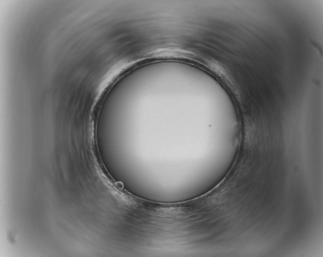 X0000101231376200807071401