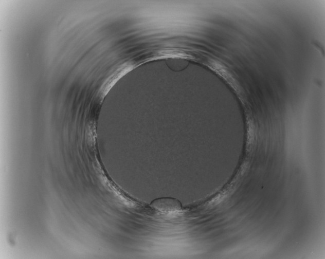 X0000101231377200807071401