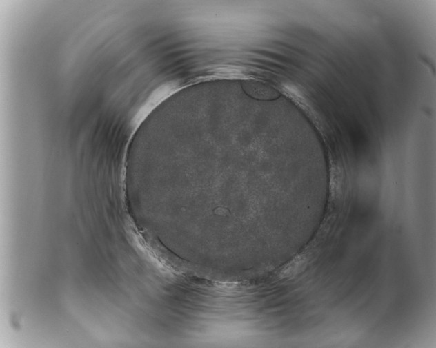 X0000101231378200807071401