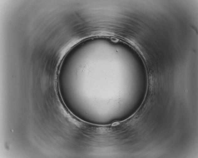 X0000101231379200807071401