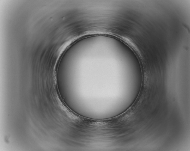 X0000101231380200807071401
