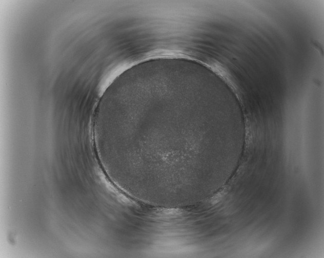 X0000101231382200807071401