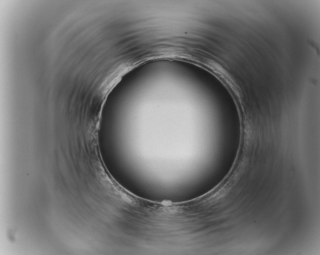 X0000101231385200807071401