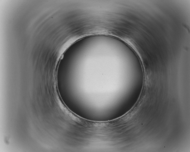 X0000101231389200807071401