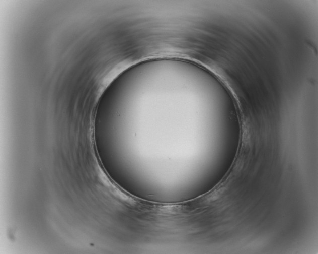 X0000101231390200807071401