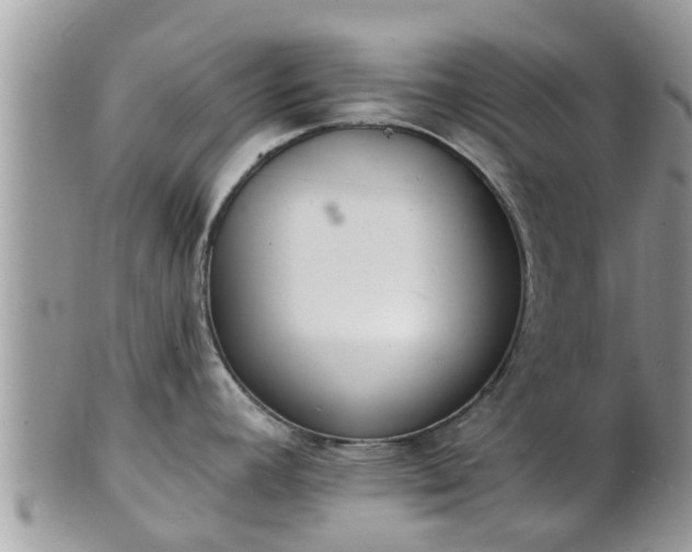 X0000101231392200807071401