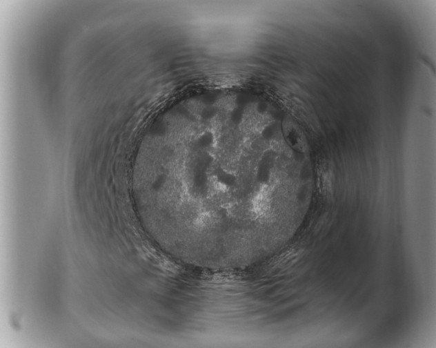 X0000101231393200807071400