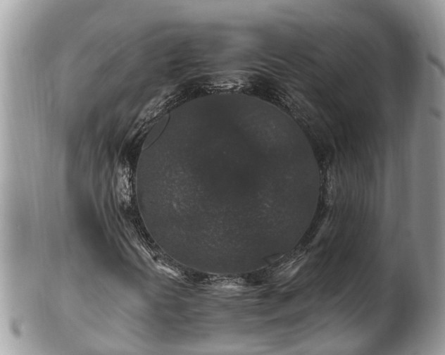 X0000101231394200807071400
