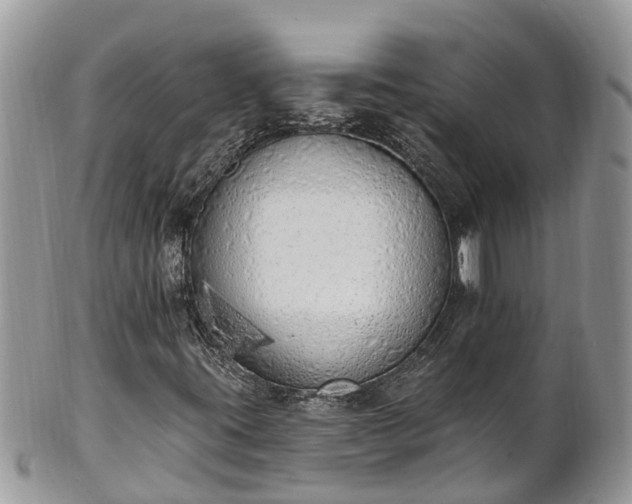 X0000101231395200807071400