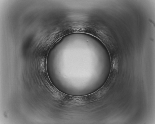 X0000101231396200807071400